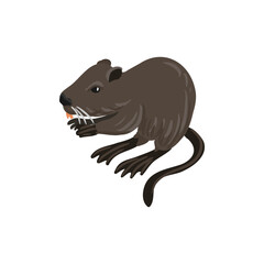 vector drawing nutria, coypu, cartoon animal isolated at white background, hand drawn illustration