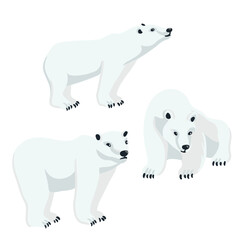 vector drawing polar bears, cartoon animals isolated at white background, hand drawn illustration - 785843532