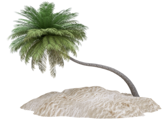 Sandy island and coconut palm tree isolated on background. Piece of round beach with sand for vacation, travel, summer, leisure and enjoy. Summer beach vacation scene concept. 3d rendering