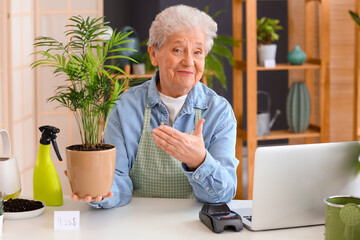Senior florist with plant at counter in flower shop