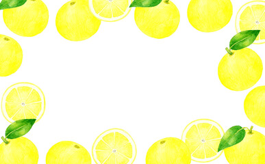 グレープフルーツの背景　果物の手描き水彩イラスト素材