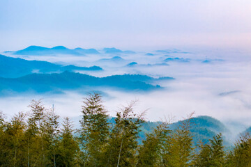 forest, nature, sky, landscape, tree, mountain, fog, clouds, mountains, pine, lake, mist, trees,