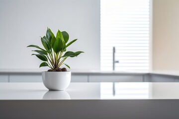 A minimalistic kitchen with a pristine white counter top and a single decorative plant Generative AI
