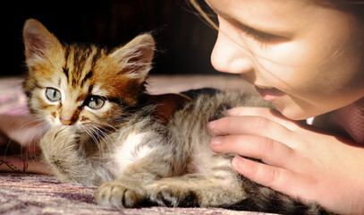 Portrait of cute girl with funny kitten, face to face, close up. Domestic cat and child. Love, care, talking with friends