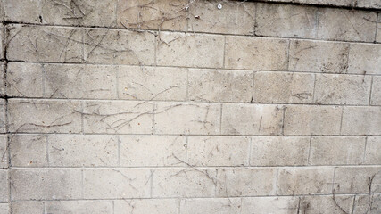 벽, 벽돌, 담벼락, 질감, 벽질감, wall, 돌, stronger - obrazy, fototapety, plakaty