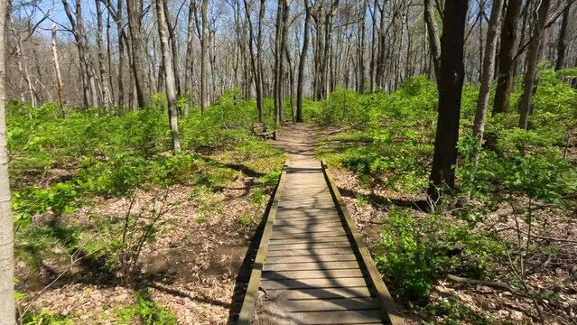 Slow-Motion views moving through a wooded green forest on a narrow dirt trail. Springtime scene with sunlight shining. There is a wooden bridge across the path. A park bench sits next to the trail.