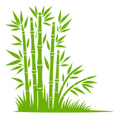 Naklejka premium Bamboo with Leaves