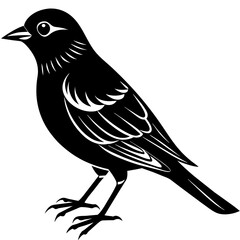 Obraz premium a bird is alone in the field 