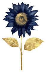 Indigo sunflower plant leaf inflorescence. - obrazy, fototapety, plakaty