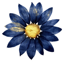 Indigo sunflower petal plant inflorescence - obrazy, fototapety, plakaty