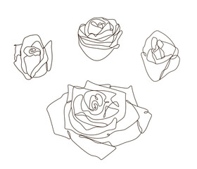 Collection of line art of blooming flower head design element. Love valentine spring delicate elegance wedding.