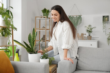 Young woman sitting on sofa near houseplants in stylish living room