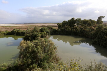 Fototapeta premium Ein Afek Nature Reserve in northern Israel. Wetland with an abundance of animals and accessible trails