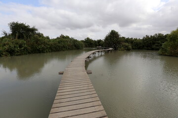 Ein Afek Nature Reserve in northern Israel. Wetland with an abundance of animals and accessible trails