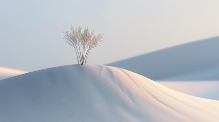 Simplicity in the sands: a lone desert plant against a backdrop of rolling dunes.
