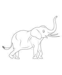 Elephant coloring page for kids, Art & Illustration