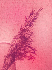 Light and shadow sunset on old retro pink fabric texture.  vintage textile background. Abstract backdrop with floral pattern and crossed lines shadows. Wabi sabi style aestetics