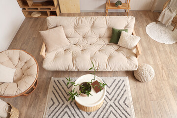 Fototapeta na wymiar Stylish interior of light living room with bamboo stems on coffee table, armchair and white sofa