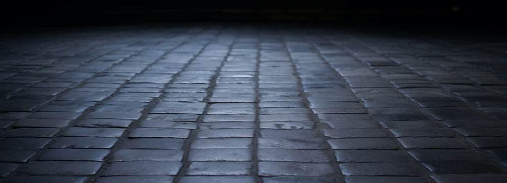 cobblestone paver path fading into darkness; background image