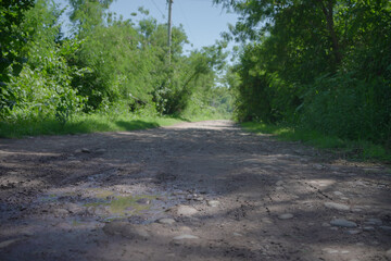 Muddy Road in countryside.