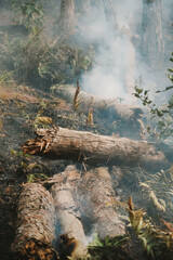 A burning forest in Dalat, Vietnam