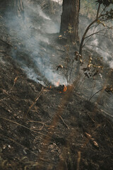 A burning forest in Dalat, Vietnam
