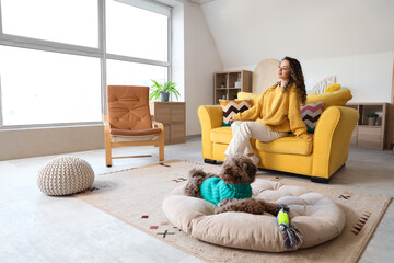 Cute poodle with toy on pet bed and young woman at home