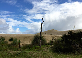 Sand dune under a cloudy sky