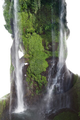A double exposure of a man's portrait silhouette and a photo of nature