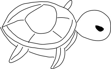 Hand drawn turtle illustration on transparent background.
