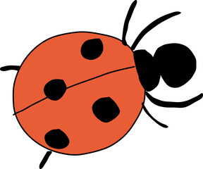 Hand drawn ladybug illustration on transparent background.
