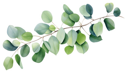 PNG Plant green leaf tree