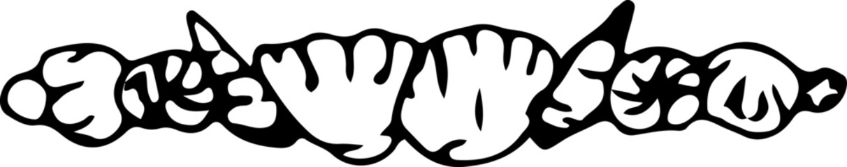 Hand drawn shell illustration on transparent background.
