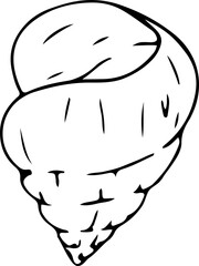 Hand drawn shell illustration on transparent background.
