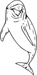 Hand drawn dolphin illustration on transparent background.
