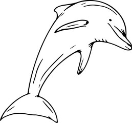 Hand drawn dolphin illustration on transparent background.
