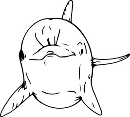 Hand drawn dolphin illustration on transparent background.
