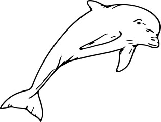 Obraz premium Hand drawn dolphin illustration on transparent background. 