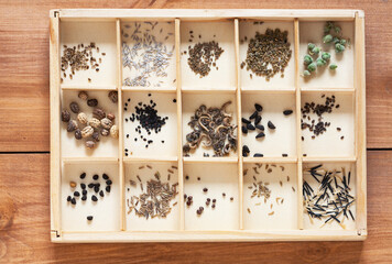 Flat lay view of a set of seeds of various vegetables and flowers in a wooden box before sowing and growing seedlings on a wooden table. The concept of spring sowing in the garden. Close-up, top view