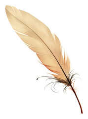 PNG Old paper with sketch of feather backgrounds lightweight fragility