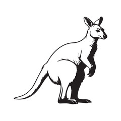 kangaroo line illustration for download