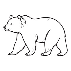 bear line illustration for download