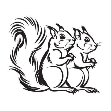 Two Squirrel Black and White Vector Images
