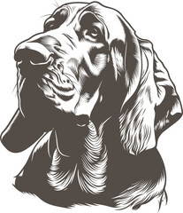 Bloodhound clipart design illustration - obrazy, fototapety, plakaty