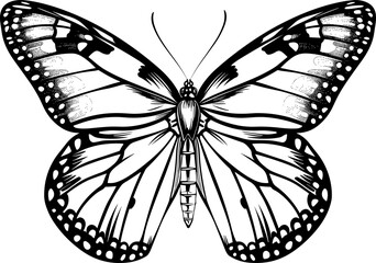 Butterfly clipart design illustration