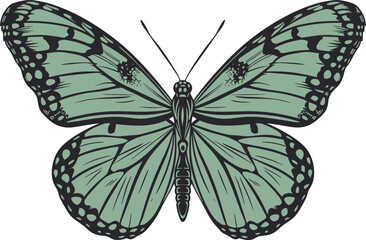 Fototapeta na wymiar Butterfly clipart design illustration
