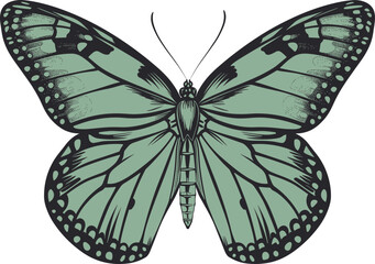 Butterfly clipart design illustration
