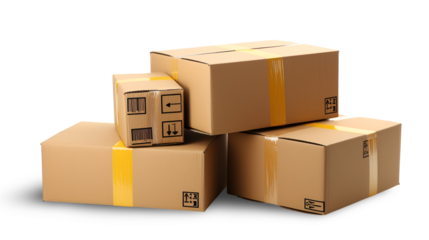 Professional Package Delivery