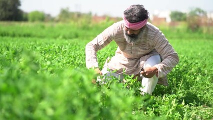 Happy indian farmer working in agriculture field, Harvesting crop, Organic farming, Rural scene,  village india, sustainable lifestyle, Slow motion shot. Copy space. - Powered by Adobe
