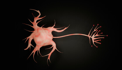 3D illustration of a neuron, brain cell, neuron cell.